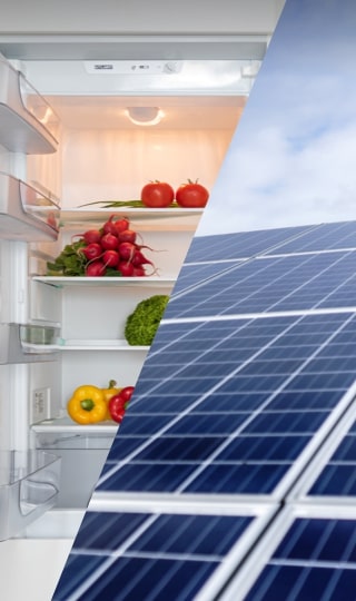 The Producer Register Ltd Category Listing 2026